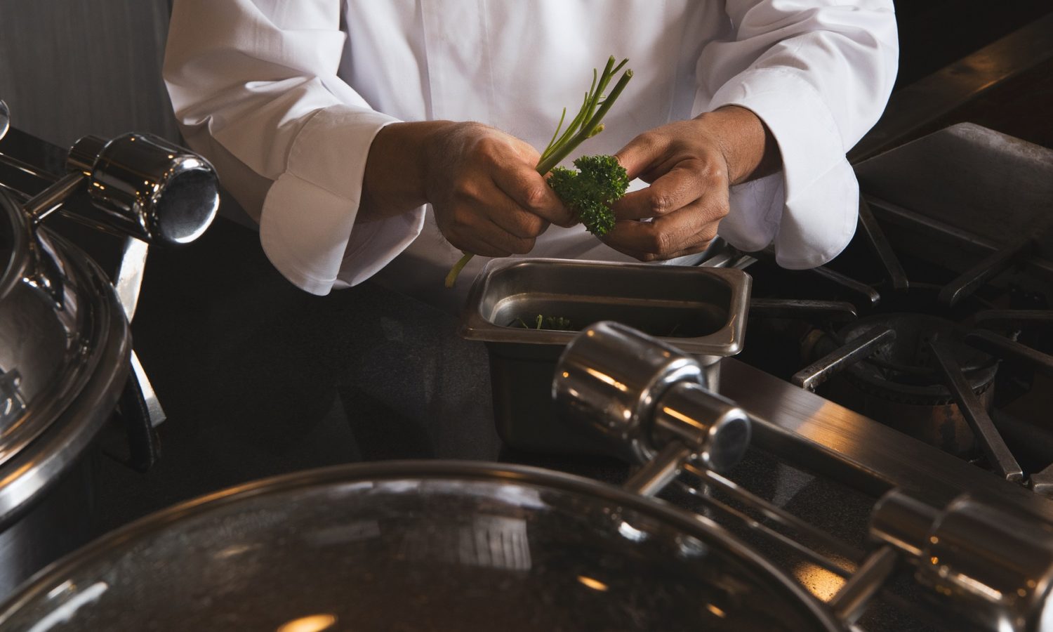 Cocina deo webs para residencias